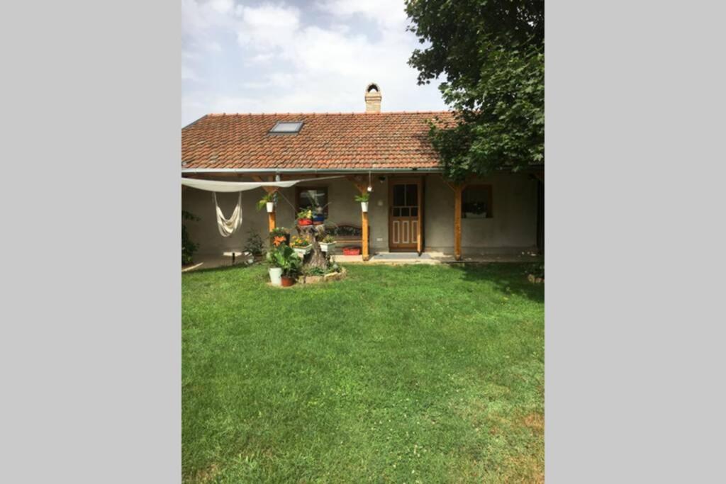 Apartament Tanya Anna Csengele Zewnętrze zdjęcie