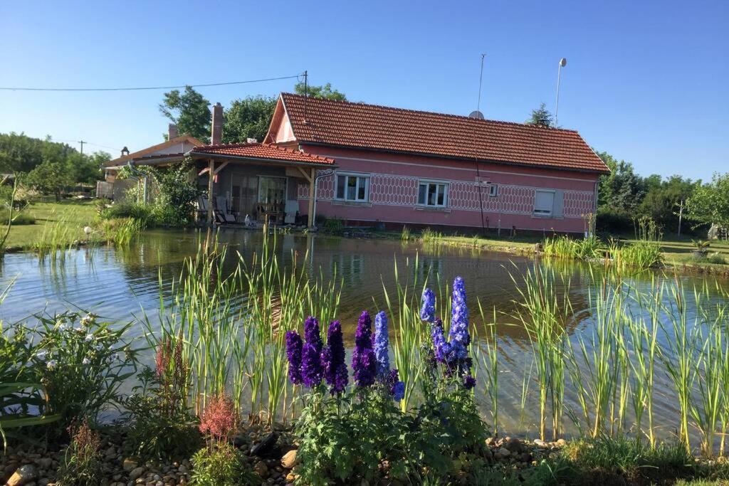 Apartament Tanya Anna Csengele Zewnętrze zdjęcie