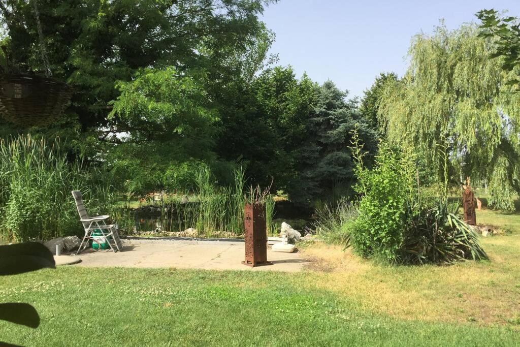 Apartament Tanya Anna Csengele Zewnętrze zdjęcie