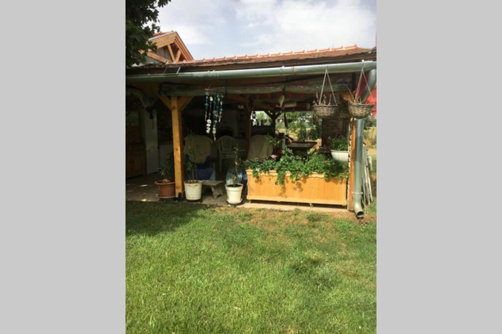Apartament Tanya Anna Csengele Zewnętrze zdjęcie