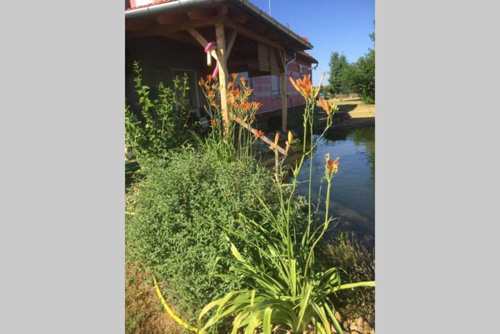 Apartament Tanya Anna Csengele Zewnętrze zdjęcie